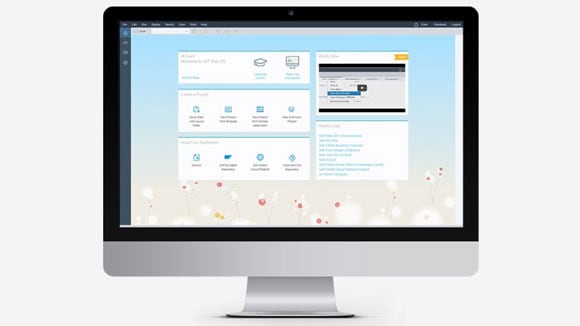 files/2016/10/sap-program.jpg 580w, http://www.7.kr.ua/files/2016/10/sap-program-300x169.jpg 300w Программа SAP