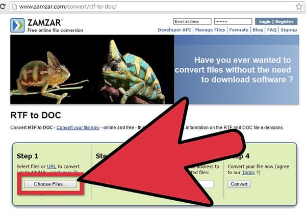 ZAMZAR қызметі Сервис ZAMZAR