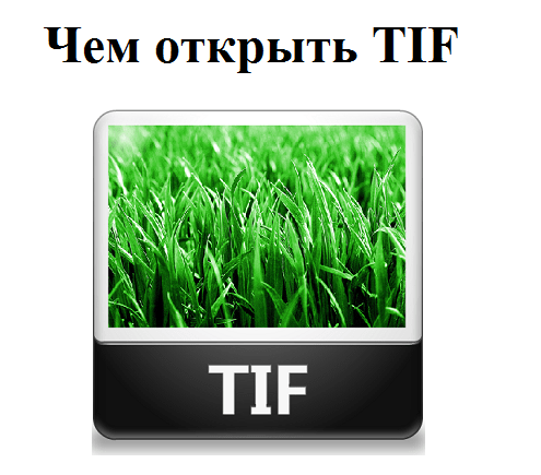 Ұзартылған Tagged Image File Format Расширение Tagged Image File Format